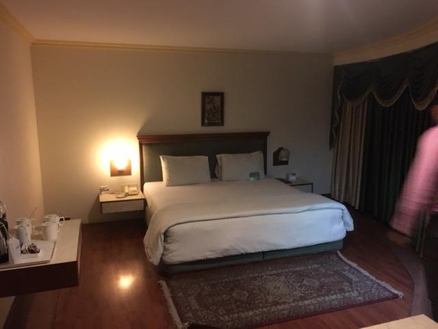 Shiva Oasis Resort Нимрана Номер фото